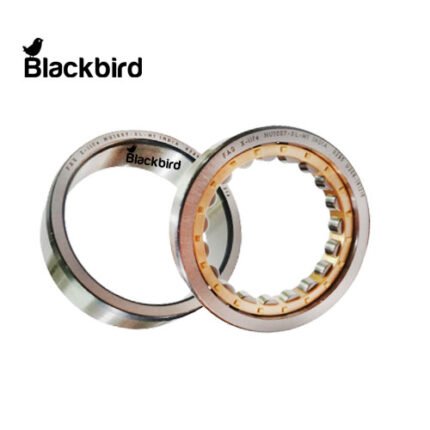 MAT- 3825 Bearing cylinder roller for mahindra 006000565F1