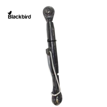 RE243206, R109333, SJ16809, RE45631, AL159873, AL176475, AL200985, AL78064