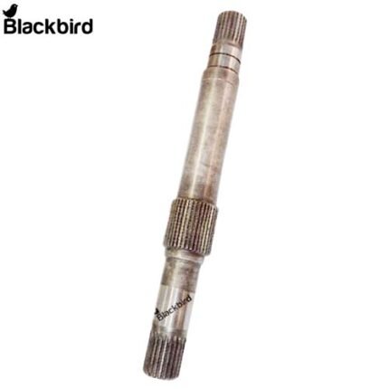 T99.12.001, D10024230