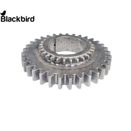 D10004810, T99.23.039