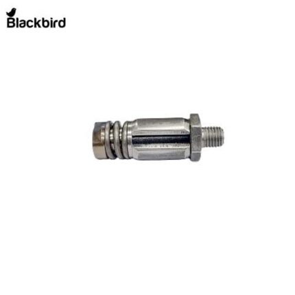 SJ27904 , AL181919, AL115253